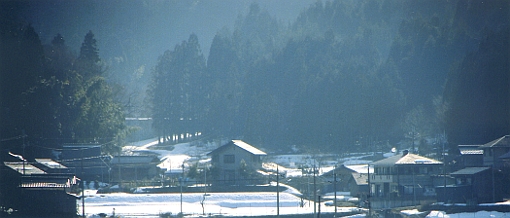 写真拡大