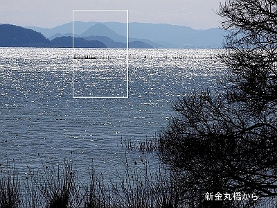 ʐ^g