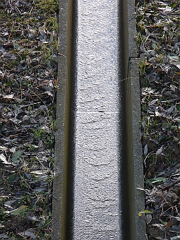 ʐ^g
