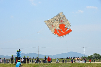 ʐ^g