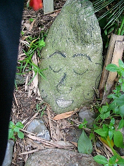 ʐ^g