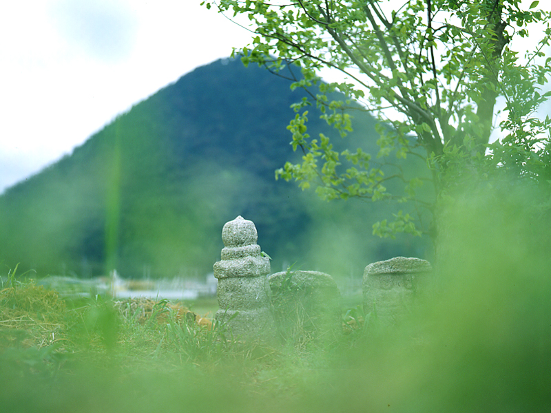 写真拡大
