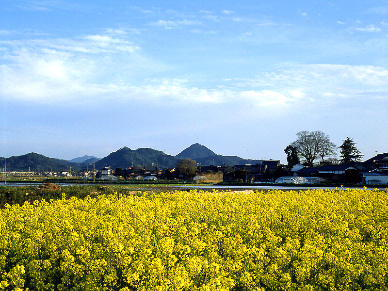 写真拡大