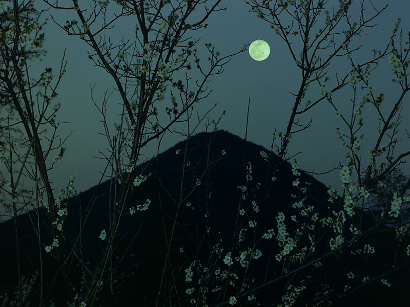 写真拡大