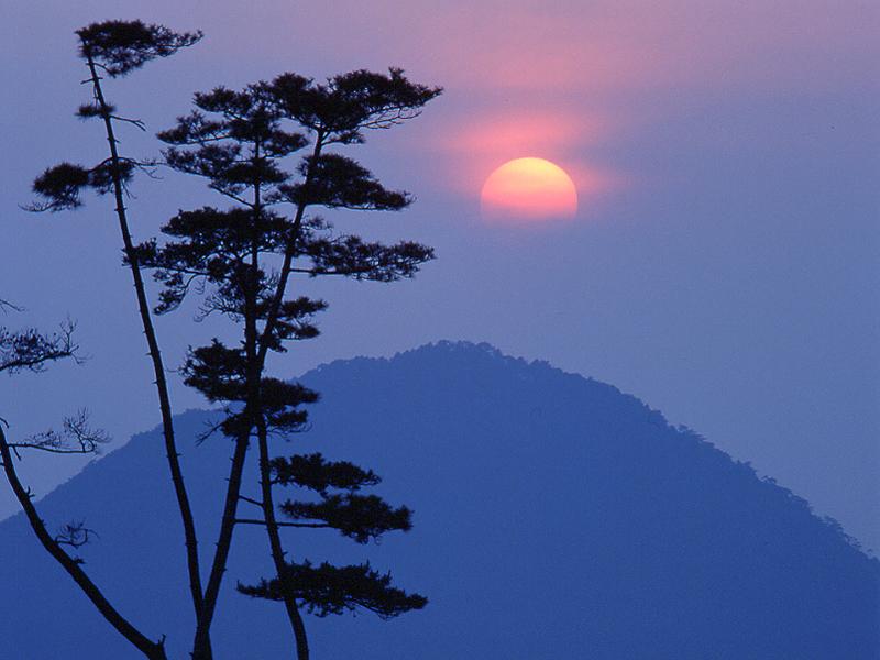 写真拡大