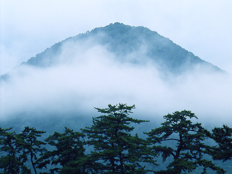 写真拡大