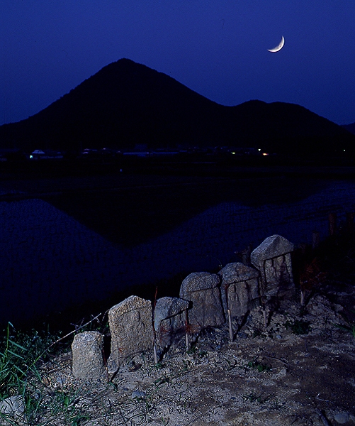 写真拡大