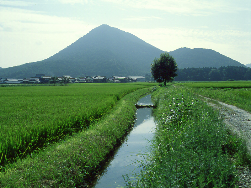 写真拡大