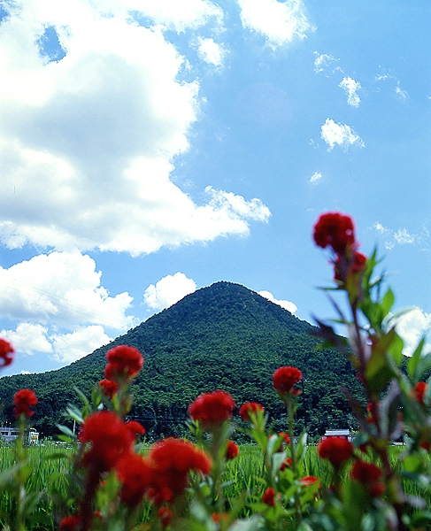 写真拡大