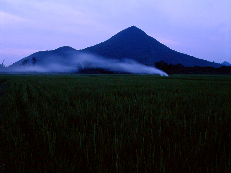 写真拡大