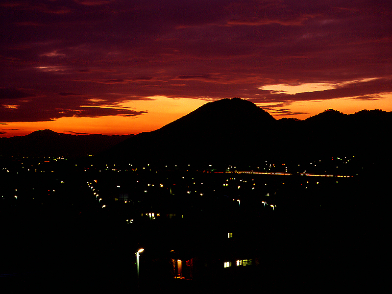 写真拡大