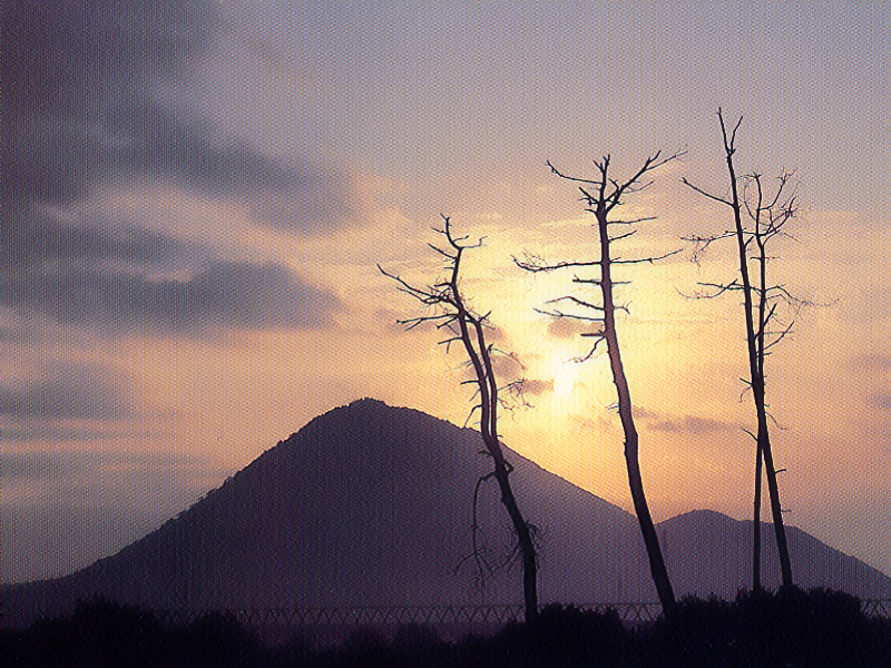 写真拡大