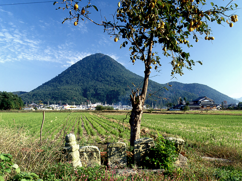 写真拡大