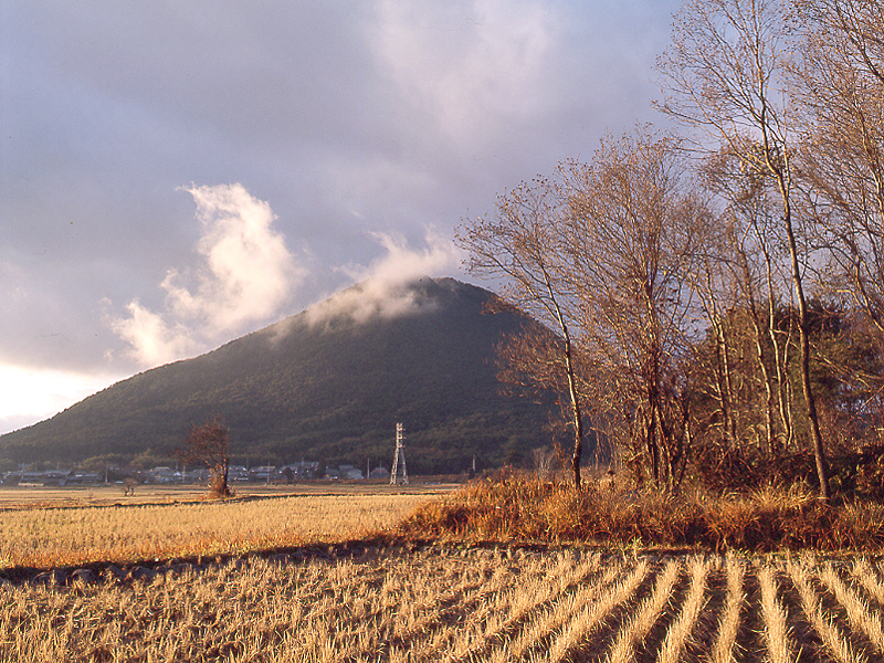 写真拡大
