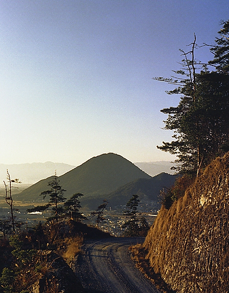 写真拡大