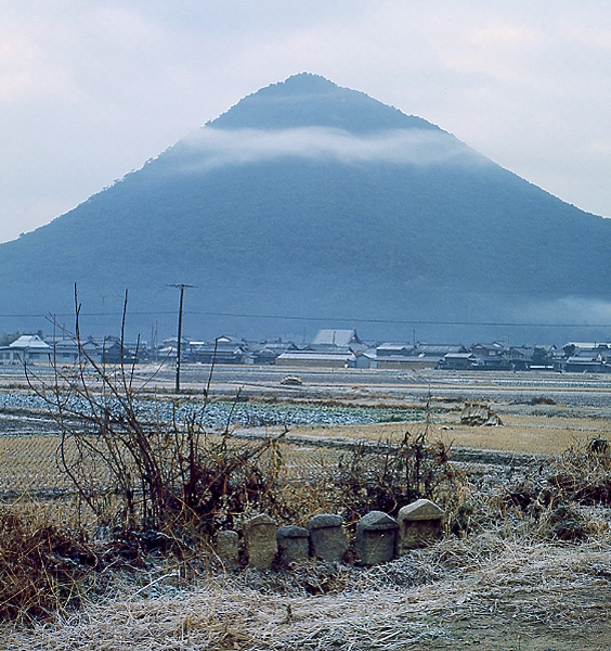 写真拡大