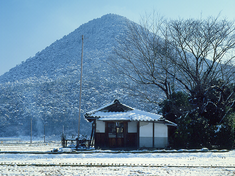 写真拡大