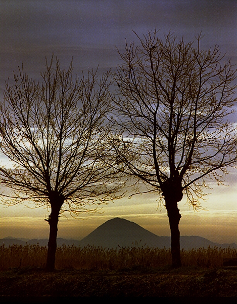 写真拡大