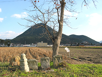 クリックすると写真が変わります