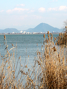 クリックすると写真が変わります