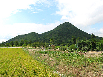 クリックすると写真が変わります