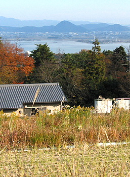 クリックすると写真が変わります