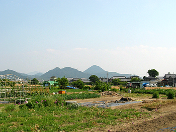クリックすると写真が変わります