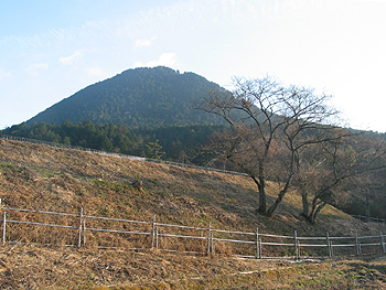 クリックすると写真が変わります