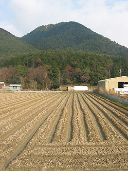 クリックすると写真が変わります