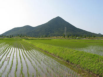 クリックすると写真が変わります