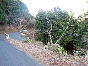 クリックすると写真が変わります