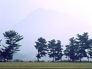 写真拡大