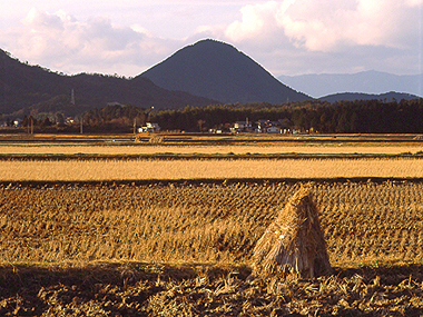 写真拡大