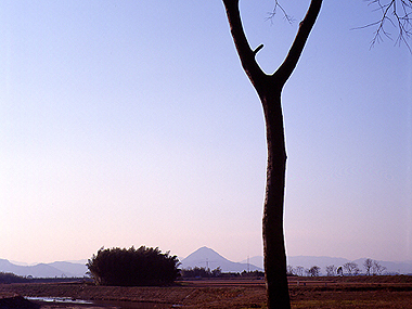 写真拡大