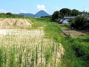 クリックすると写真が変わります