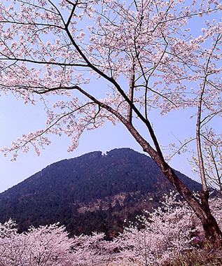 写真拡大