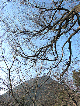 クリックすると写真が変わります