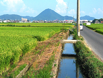 クリックすると写真が変わります
