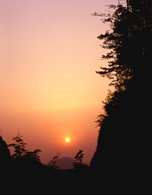 写真拡大