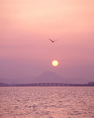 写真拡大