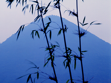 写真拡大