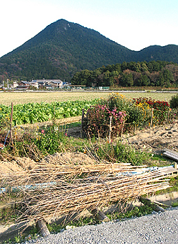 クリックすると写真が変わります