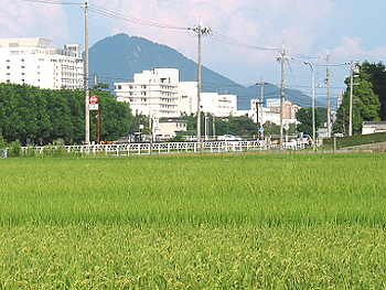 クリックすると写真が変わります