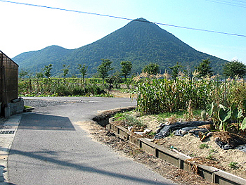 クリックすると写真が変わります