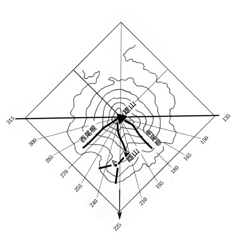 ʐ^g