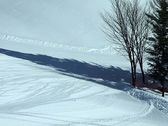 ʐ^g