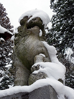 ʐ^g