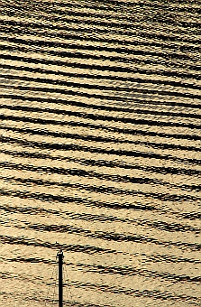 ʐ^g
