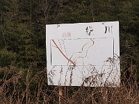 ʐ^g