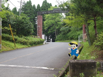 ʐ^g